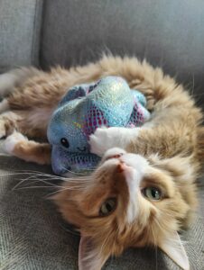 A photograph of Fwedwik. He is lying on his back and looking over the camera. His Octopus has been placed on his chest so they are cuddling